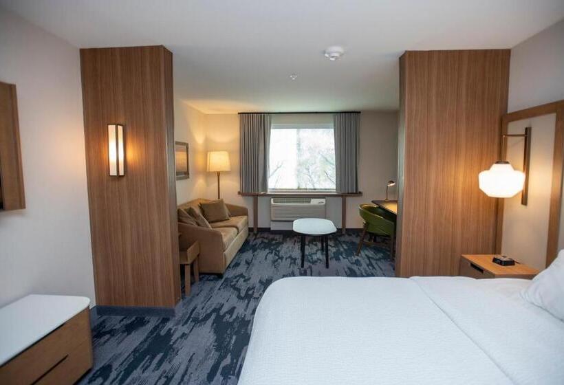 キングサイズベッドのスイートルーム, Fairfield Inn & Suites By Marriott Indianapolis Greenfield