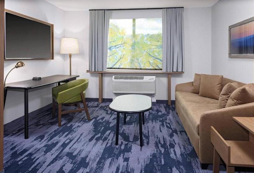 スイート, Fairfield Inn & Suites By Marriott Indianapolis Greenfield