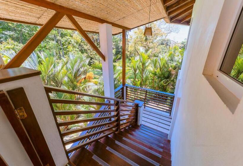 주니어 스위트, Terrazas Del Caribe