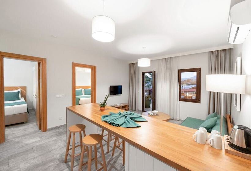 Люкс, Dorman Suites