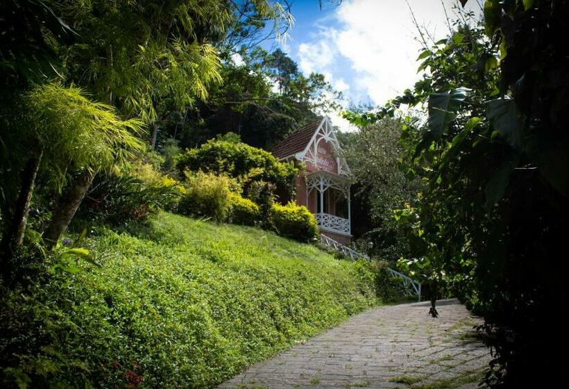 套房带泳池景, Villa Violeta