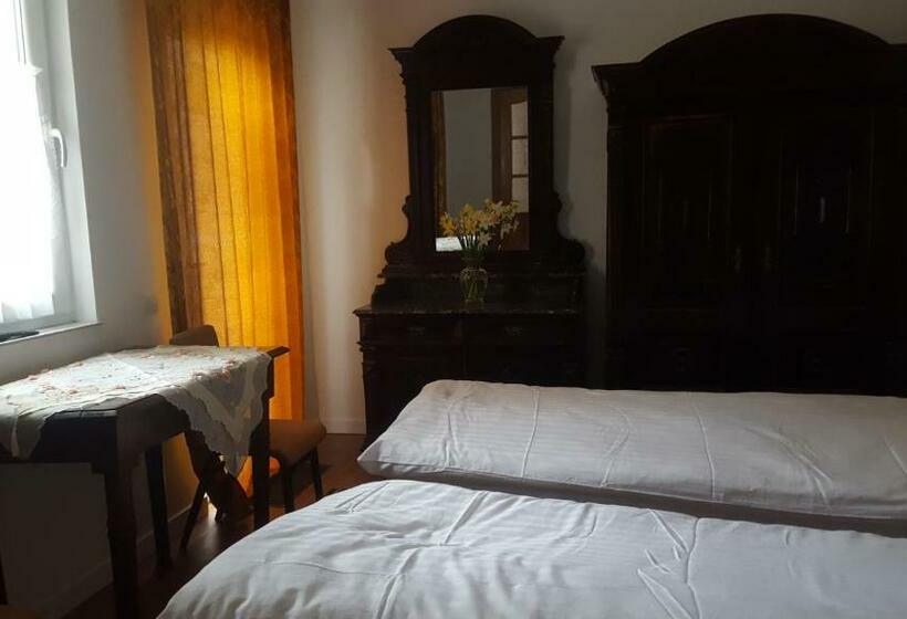 Полулюкс Одноместный с Террасой, Room In An Old House