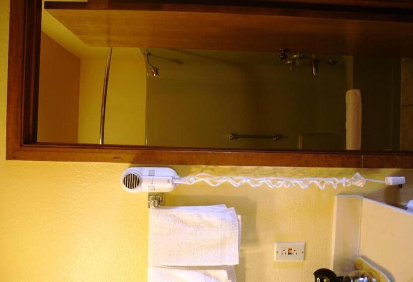 Номер Стандарт, Lake Palestine Motor Inn
