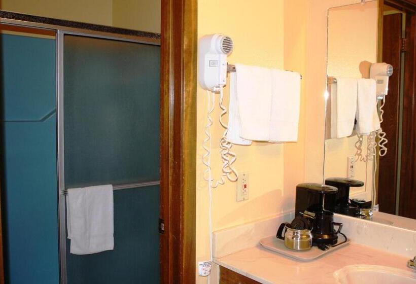 Номер Стандарт, Lake Palestine Motor Inn