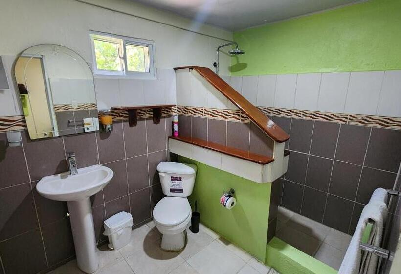Номер Стандарт, Villa Rosa