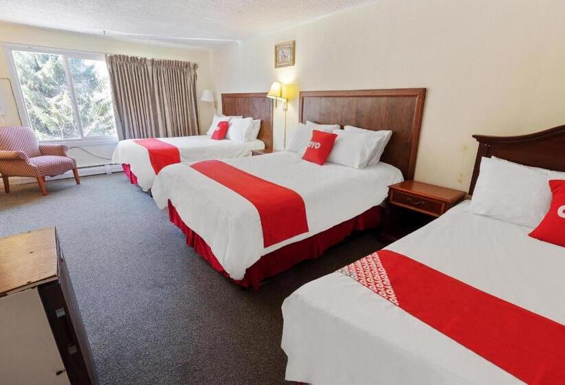 Номер Стандартный Кровать Куин, Oyo Hotel Buena Vista Delhi