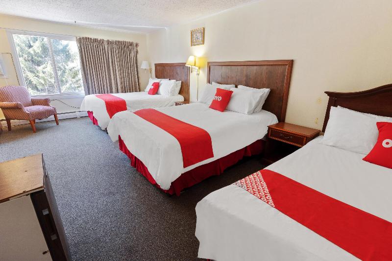 Номер Стандартный Кровать Куин, Oyo Hotel Buena Vista Delhi