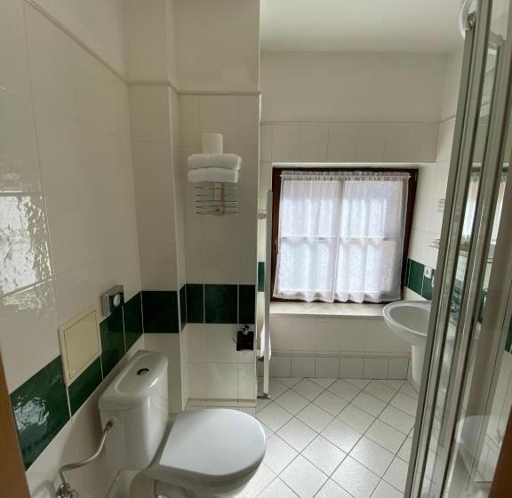 اتاق استاندارد, Zámecký Hotel Zlatý Orel