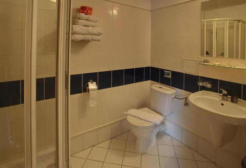 اتاق استاندارد یک نفره, Zámecký Hotel Zlatý Orel