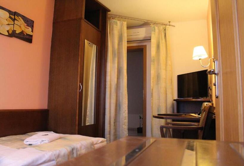 اتاق استاندارد یک نفره, Zámecký Hotel Zlatý Orel