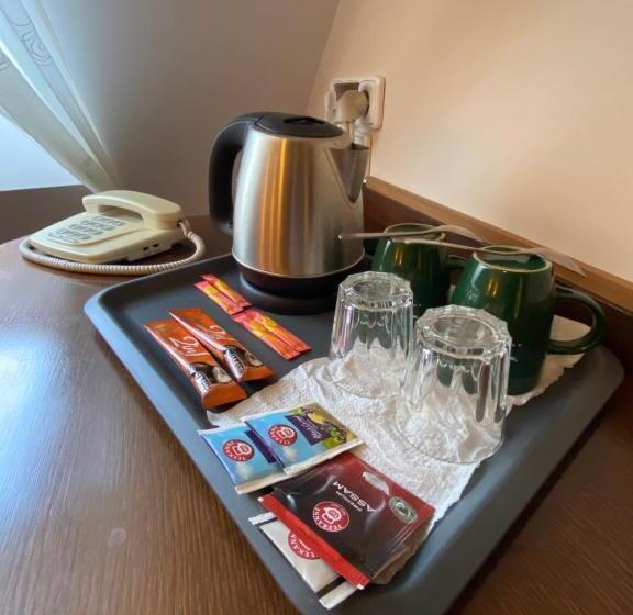 １ベッドルームアパートメント, Zámecký Hotel Zlatý Orel