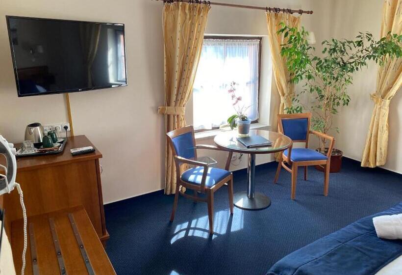 景色の見えるデラックスルーム, Zámecký Hotel Zlatý Orel