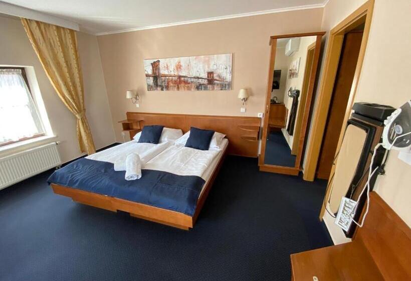 景色の見えるデラックスルーム, Zámecký Hotel Zlatý Orel