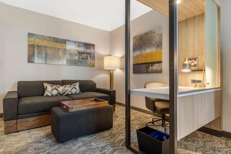 带大床的套房, Springhill Suites Charlotte Southwest