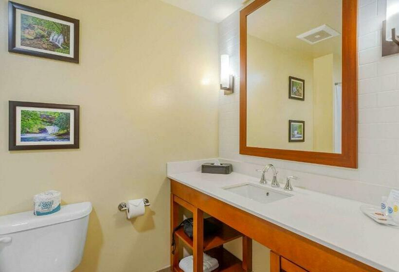 스위트, Comfort Suites Burlington Near I 5