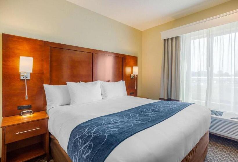 스위트 킹사이즈 침대, Comfort Suites Burlington Near I 5