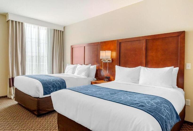 스위트, Comfort Suites Burlington Near I 5