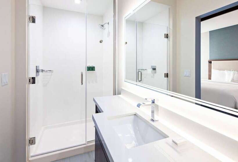 Люкс, Springhill Suites By Marriott Escondido Downtown