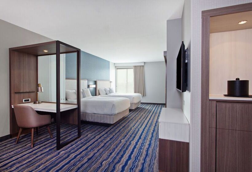 Люкс, Springhill Suites By Marriott Escondido Downtown