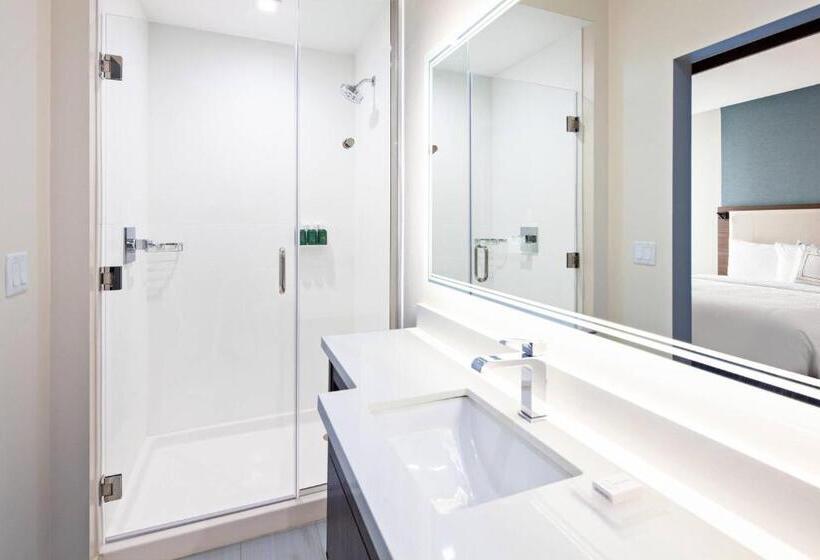 Люкс, Springhill Suites By Marriott Escondido Downtown