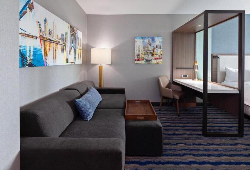 Люкс Адаптированный для Инвалидов, Springhill Suites By Marriott Escondido Downtown