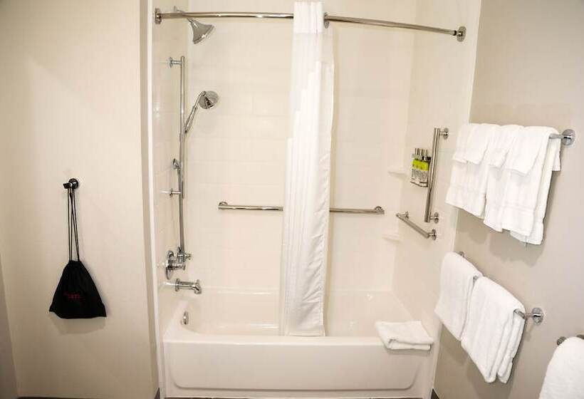 Люкс Адаптированный для Инвалидов, Holiday Inn Express & Suites   Wylie West, An Ihg
