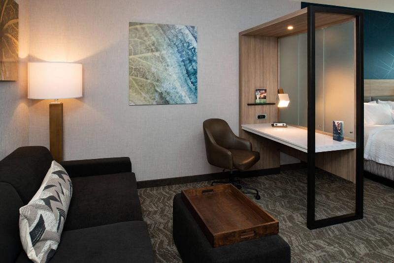 스위트 킹사이즈 침대, Springhill Suites By Marriott Elizabethtown