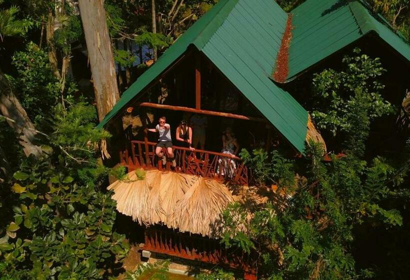 Номер Стандарт Вид на Горы, Jungle Face Inn