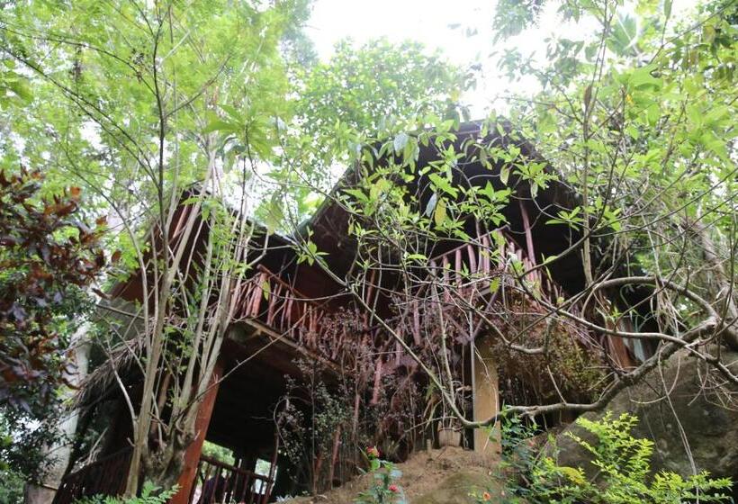 Семейный Номер Вид на Горы, Jungle Face Inn