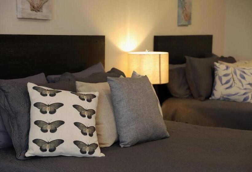 デラックススイート, Quinta Santa Rosa