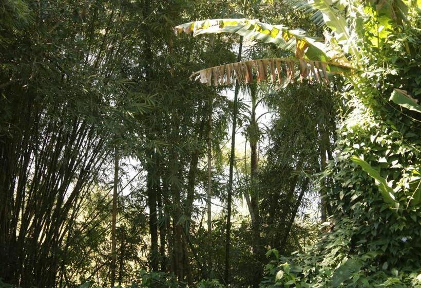 סטודיו סטנדרט עם מרפסת, Coração Da Terra Praia Do Rosa