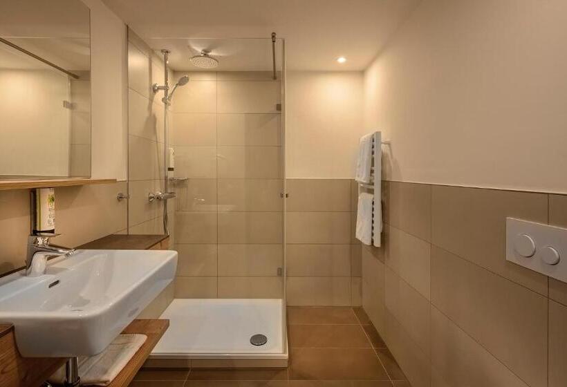 스탠다드 룸, Aparthotel Rose