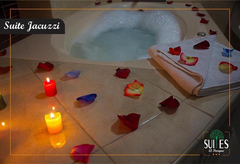 Номер Стандарт с Гидромассажем, Suites El Parque