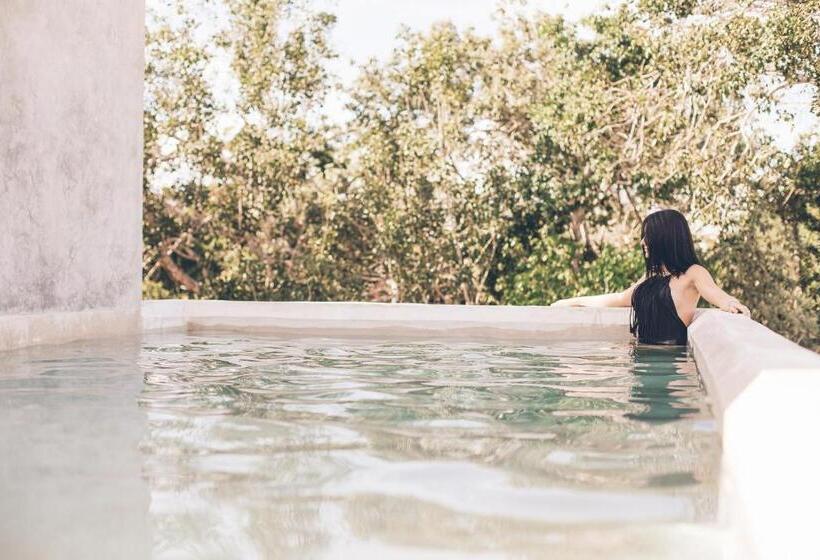 سوییت با استخر, Panacea Condo Tulum