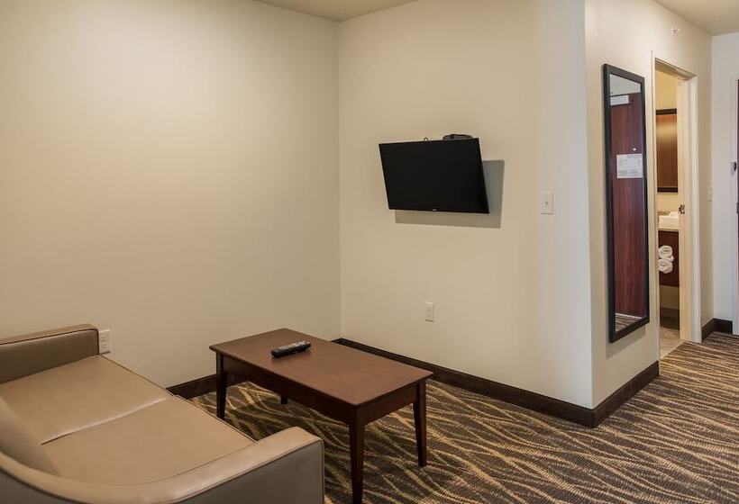 Студия Стандарт, Cobblestone Hotel & Suites   Janesville