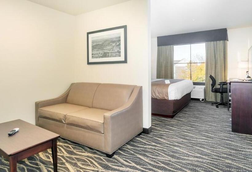 Студио Стандарт Кровать Кинг, Cobblestone Hotel & Suites   Janesville