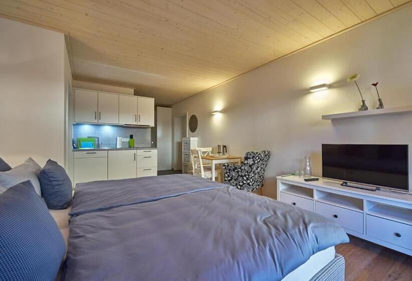 Полулюкс Одноместный с Террасой, Alb Appartements