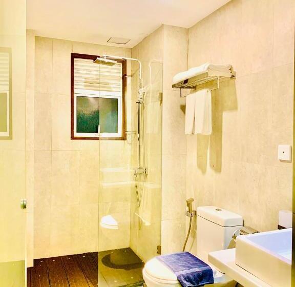 Номер Deluxe, City Hotel Colombo 02