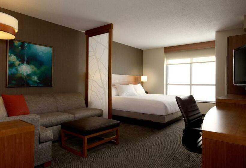キングサイズベッドのスタンダードルーム, Hyatt Place San Jose Airport