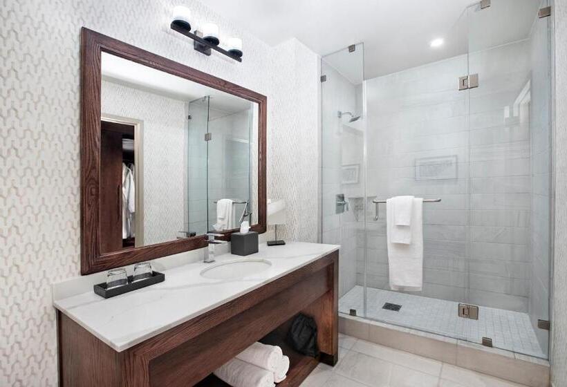 Quarto Executivo, Texas A&m Hotel And Conference Center