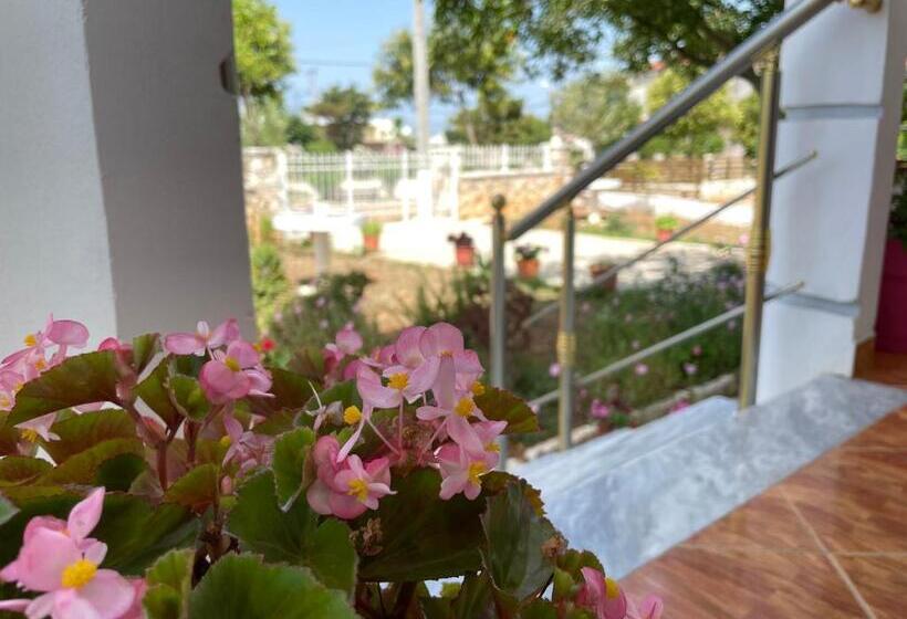 Standard Studio Garden View, Villa Soni Oruci