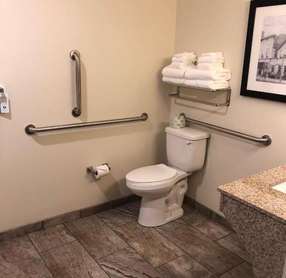 Номер Стандарт Кровать Кинг Адаптированный для Инвалидов, Cobblestone Inn And Suites Ashland