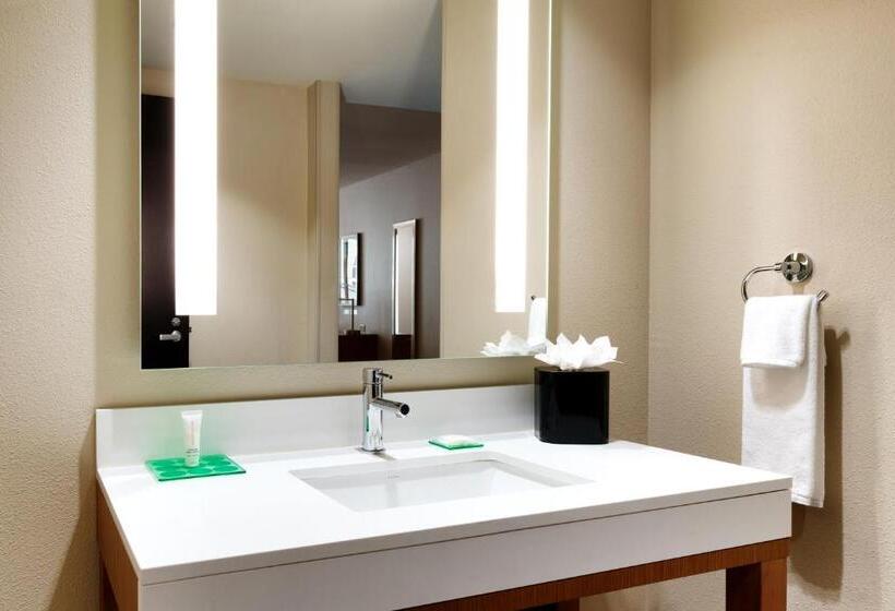 Номер Стандарт Кровать Кинг Адаптированный для Инвалидов, Hyatt Place Provo