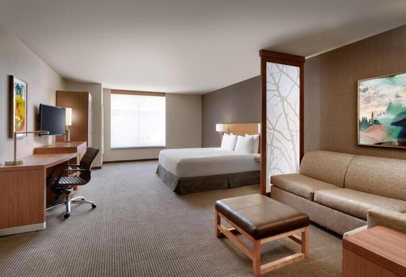 Номер Стандарт Кровать Кинг Адаптированный для Инвалидов, Hyatt Place Provo
