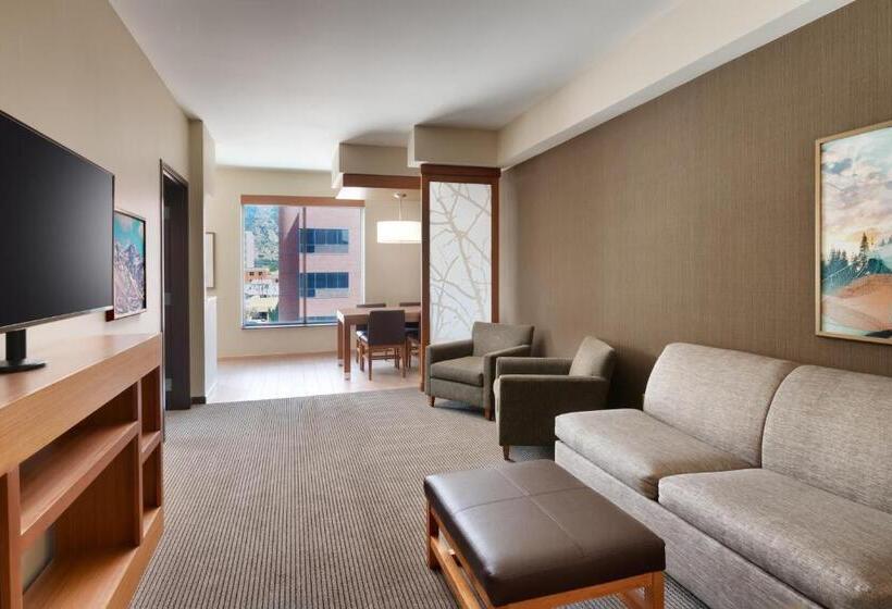 Люкс Кровать Кинг, Hyatt Place Provo
