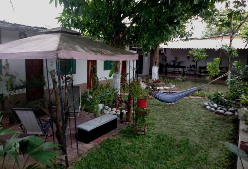 Кровать в Общей Комнате, Kitara House Backpackers Hostel