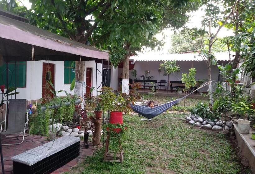 Номер Стандарт, Kitara House Backpackers Hostel