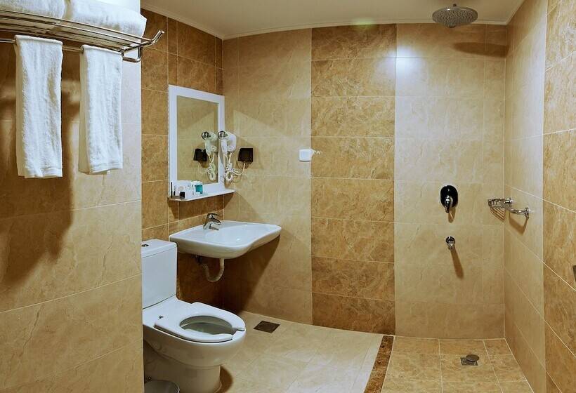 Полулюкс, Delights Inn   Green Oasis