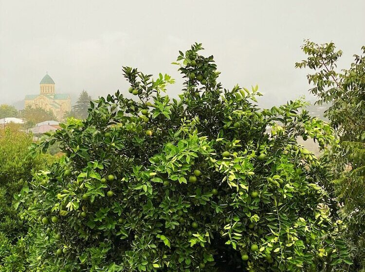اتاق لوکس, Orange Kutaisi