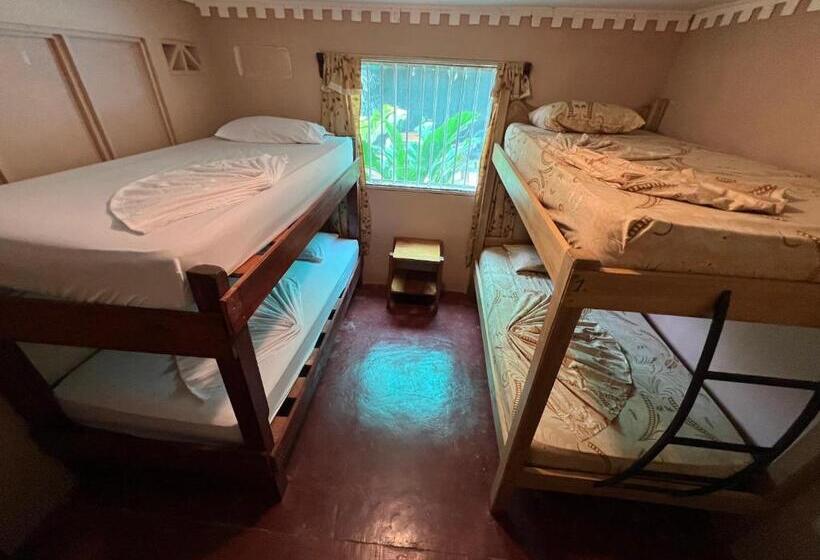 공동 객실, Pura Vida Hostel